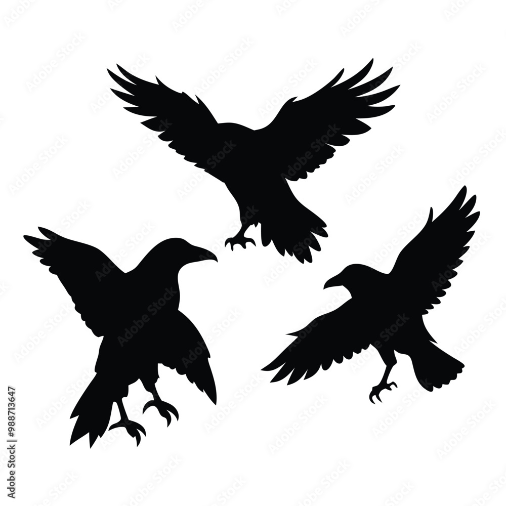 Fototapeta premium black silhouette of three crows. The crows are facing each other and appear to be in mid-flight. vector silhouette,