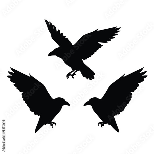 black silhouette of three crows. The crows are facing each other and appear to be in mid-flight. vector silhouette,
