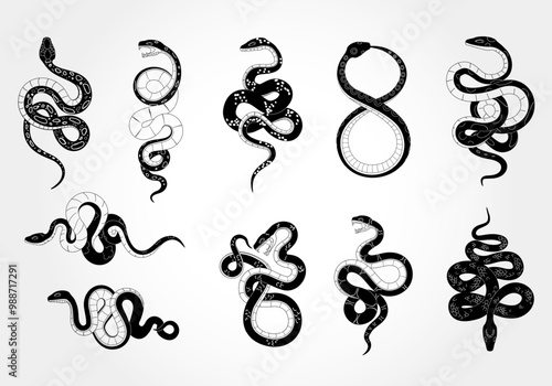 Snake logo. Icon anima Asian New Year symbol. Silhouette sign, nature graphic black tattoo. Element tropical dangerous serpent with scale, tongue viper, python. Vector drawing design, isolated set