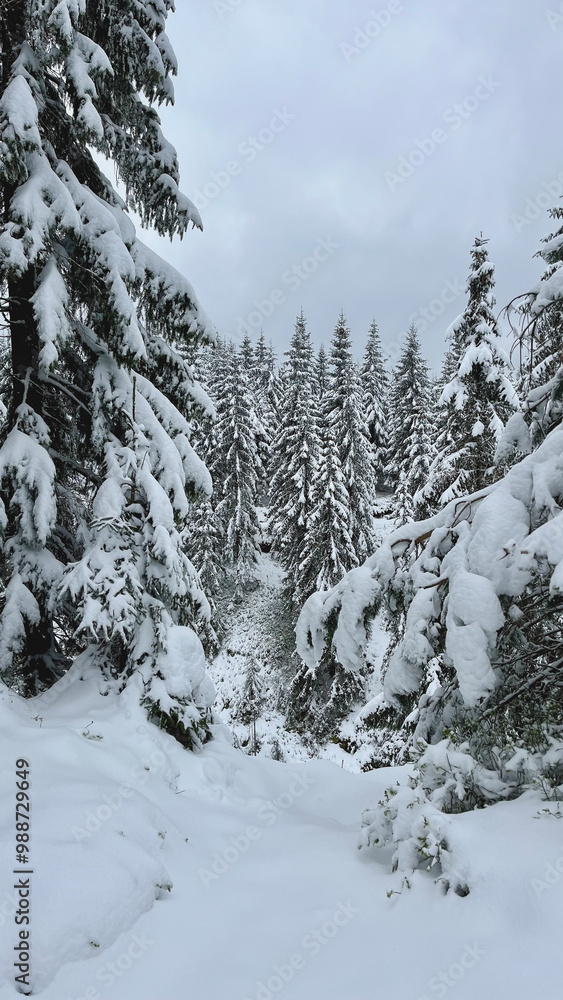 Jiezerskie Mountains in Poland. Low mountains covered with snow and forest. Landscape Jiezerskie Mountains in Poland. Low mountains covered with snow and forest. Landscape