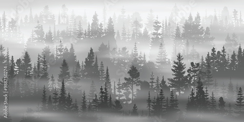 Coniferous forest in the morning haze, black and white landscape, vector illustration	
