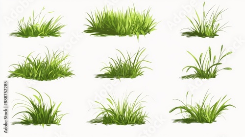 A collection of simple, flat-style drawings of grass. Each picture shows grass on a plain white background.