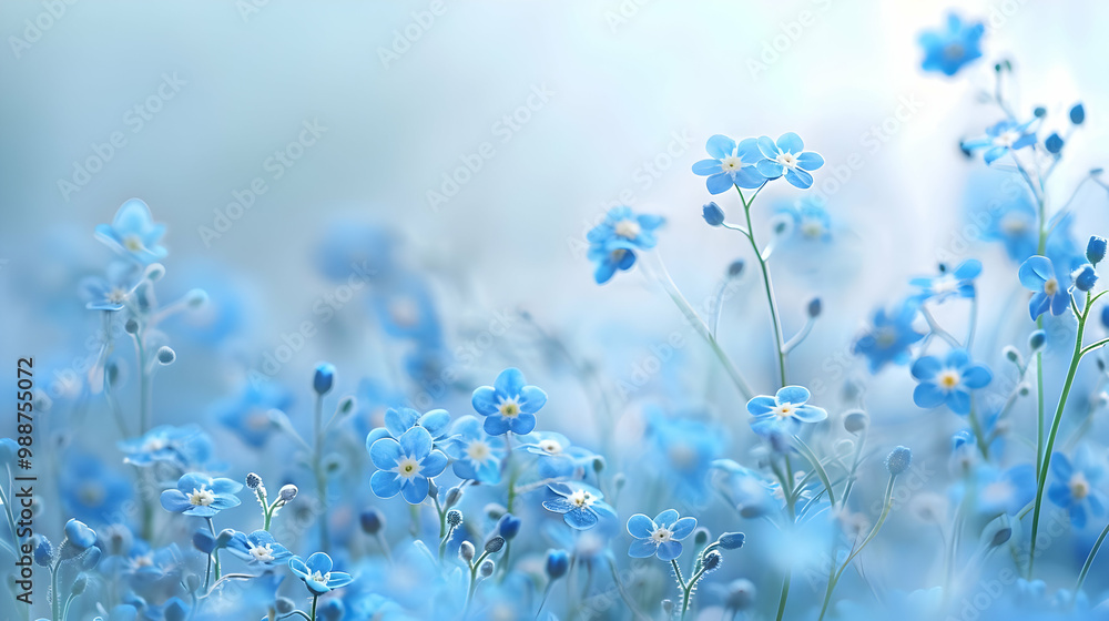 Delicate Blue Forget-Me-Nots in Soft Focus Delicate Blue Forget-Me-Nots in Soft Focus