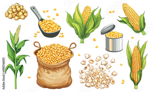 Corn set. Green corns stalk. Sweet corn-kernels on a scoop. Pop corn grains. Corn in a metal can with opend lid. Vegetarian vegan harvest agriculture vegetable. Cartoon style vector clipart collection