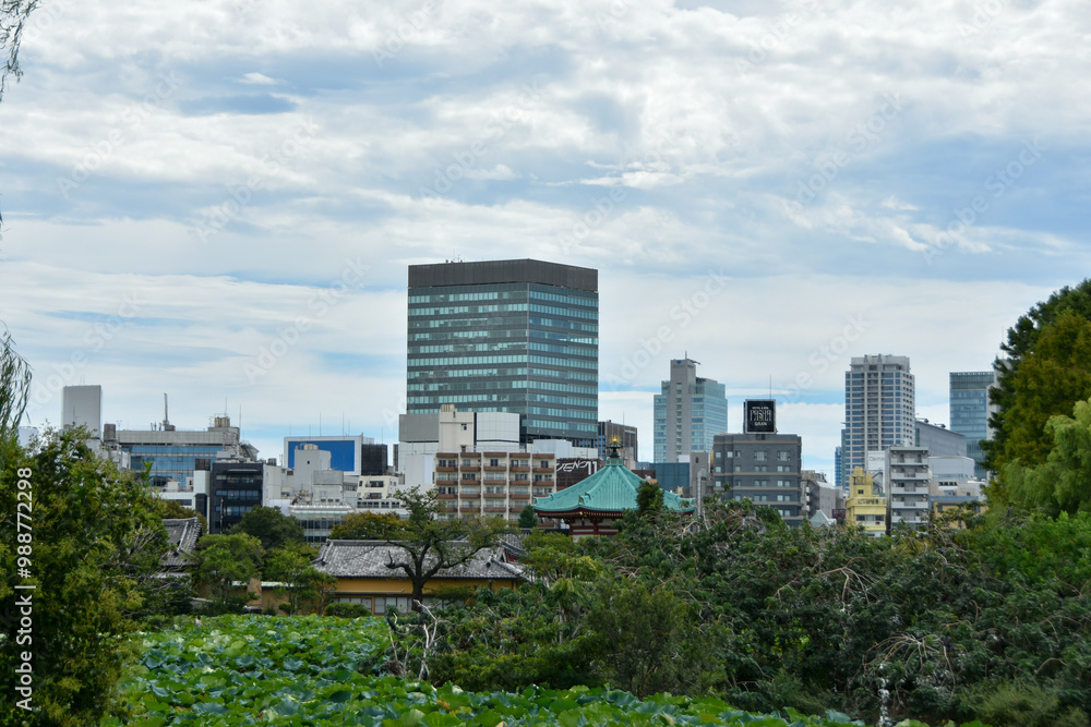Fototapeta premium 上野公園から眺める高層ビル群
