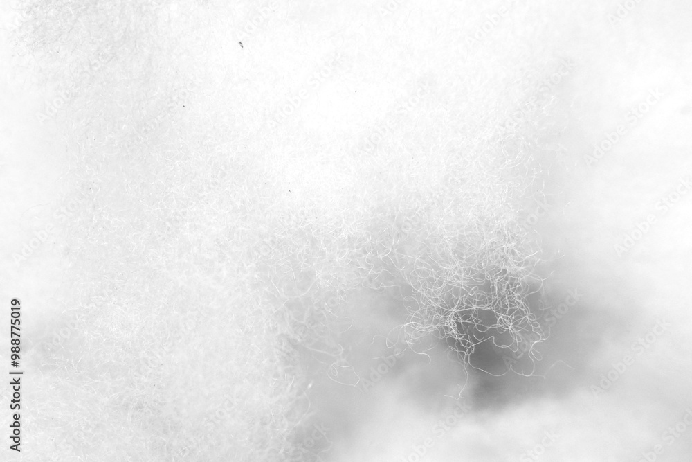 Fototapeta premium texture with white artistic, can be used for background and content social media marketing