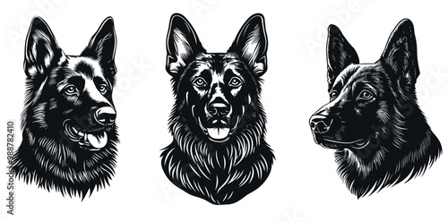 German shepherd dog black silhouette portrait set. With opened mouth and tongue hanging out. Watchdog breed. Home pet animal. Simple black and white lynocut flat style. Isolated vector clipart
