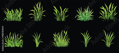 Green tuft of grass set. Young spring fresh bush of sprouts greenerie. Botanical seasonal greens outdoor garden field meadow park lawn plants. Seasonal growth grass. Cartoon style isolated vector