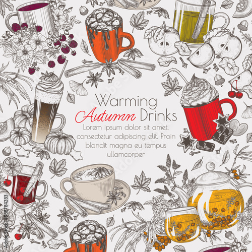 Vector frame autumn drinks. Sea buckthorn tea, marshmallow cocoa, apple cider, spiced tea latte, hot chocolate , pumpkin spice latte, mulled wine