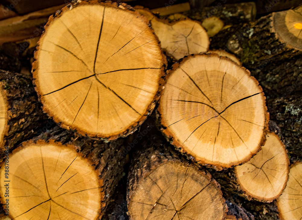 Naklejka premium Wood logs for firewood. Close-up, selective focus
