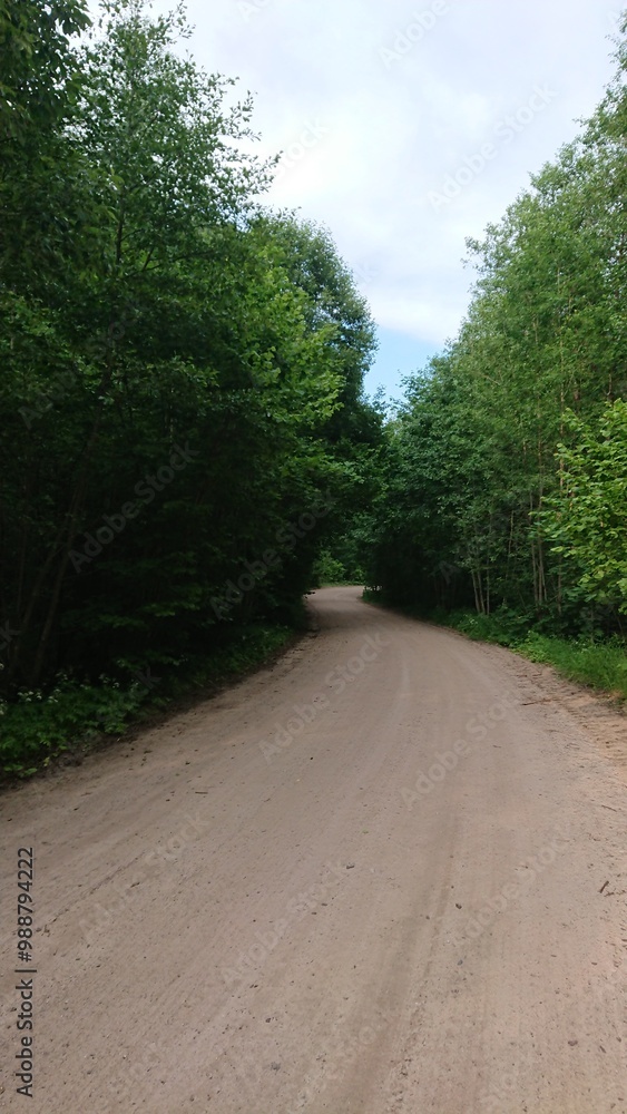 Obraz premium left to right_2