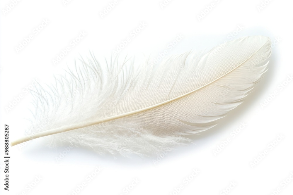 Obraz premium Realistic photo of a soft white feather accessories accessory jewelry.