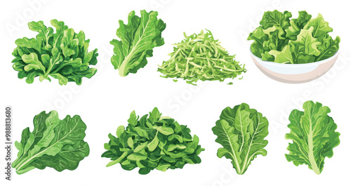 Salad leaf set. Green salad lettuce pile shredded leaves stack. Raw fresh organic vegetable. Vegetarian healthy food. Popular culinary leaf for cooking. Cartoon style isolated vector clipart