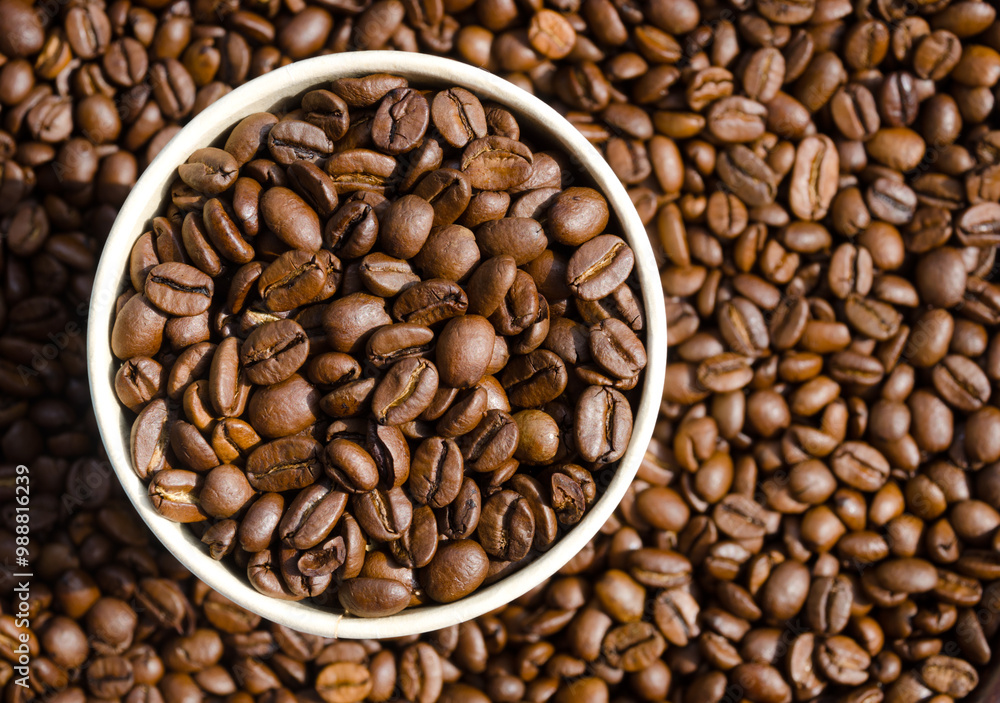 Roasted coffee beans. Selected Arabica beans. Roasted coffee beans. Selected Arabica beans.