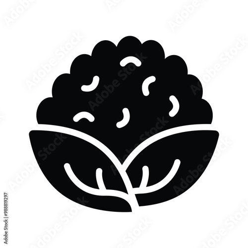 Fresh cauliflower icon, ideal for healthy eating and cooking,