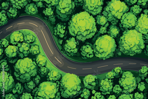 Top view forest road landscape. Horizontally located zigzag way through a green zone background. Tree crowns aerial view. Countryside travel journey adventure trip concept. Cartoon style vector