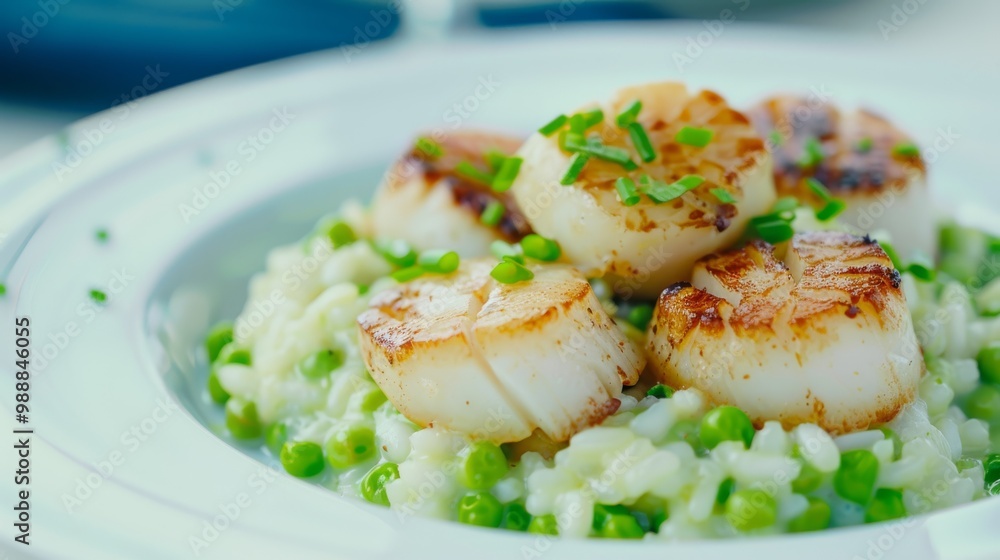 Gourmet scallops arranged on a bed of creamy risotto with green peas, topped with fresh chives, served in a white bowl. Gourmet scallops arranged on a bed of creamy risotto with green peas, topped with fresh chives, served in a white bowl.