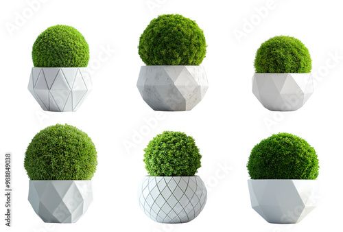 Charming Collection of Small Moss Balls in Geometric White Ceramic Pots on Transparent Background - Ideal for Home Decor, Indoor Gardening, and Creative Projects - Perfect for Stylish Interior Design 