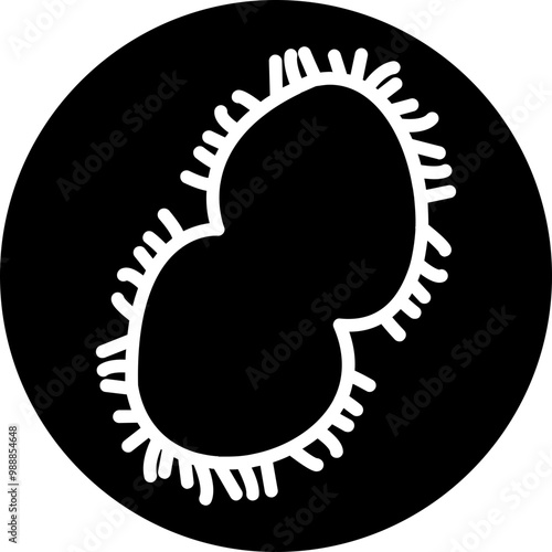 Neisseria meningitidis Icon