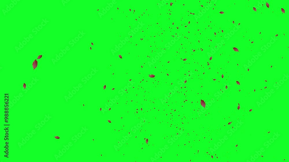 Leaf Flying On Green Screen Background. Leaf Flying In The Air Motion Animation Background. Leaf Flying Effects, Leaf Falling Effects Animation Leaf Flying On Green Screen Background. Leaf Flying In The Air Motion Animation Background. Leaf Flying Effects, Leaf Falling Effects Animation