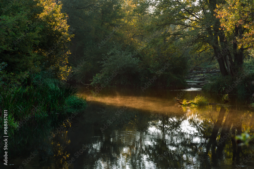 Autumn landscape with river and trees in the morning. Beautiful autumn landscape. Autumn forest Autumn landscape with river and trees in the morning. Beautiful autumn landscape. Autumn forest