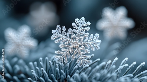 A close-up of snowflakes delicately resting on pine needles