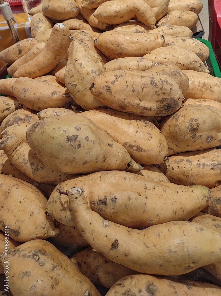 A pile of yellow-brown sweet potatoes, freshly picked from a local farm. A pile of yellow-brown sweet potatoes, freshly picked from a local farm.