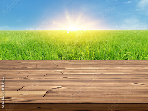 Empty wooden table with rice field background and bright morning sky.