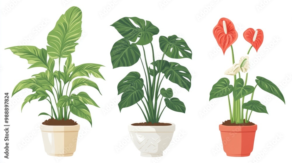 Obraz premium Flat illustration of houseplants in pots for interior settings featuring a palm and ficus in ceramic containers along with anthurium in a flowerpot Isolated clipart on a white background