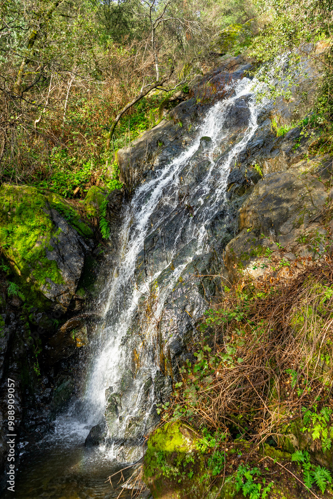 Black hole of Calcutta