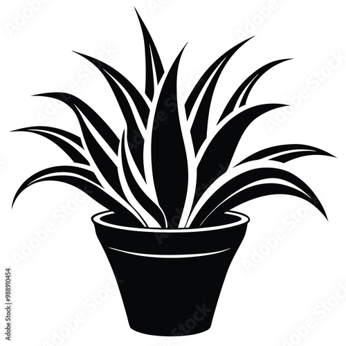 Alovera plant vector silhouette