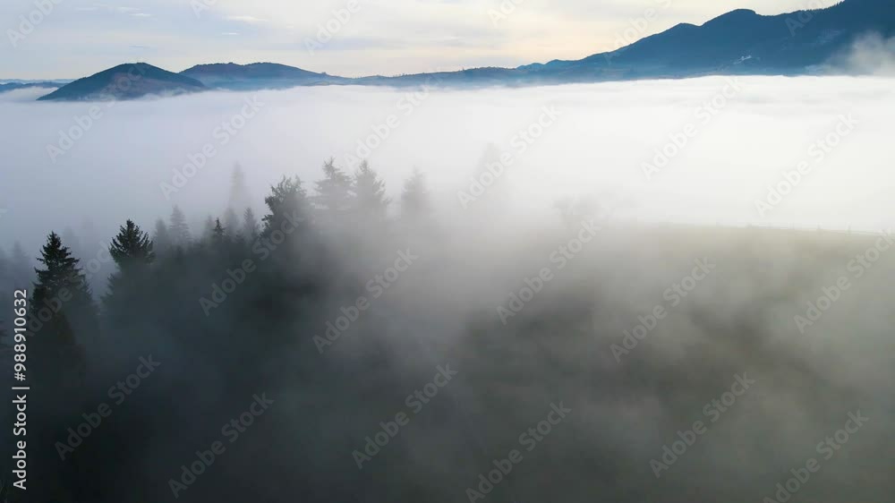 fog mountains forest drone view flyby fog mountains forest drone view flyby