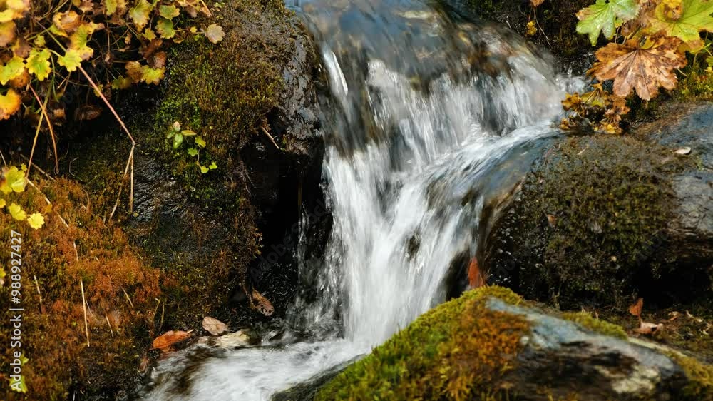 Small waterfall cascading over moss-covered rocks in a forest, surrounded by autumn leaves and greenery. Stream of cold spring water in the mountains, the beginning of the river. Small waterfall cascading over moss-covered rocks in a forest, surrounded by autumn leaves and greenery. Stream of cold spring water in the mountains, the beginning of the river.