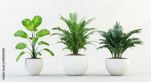 Modern 3D Render of Three Potted Plants