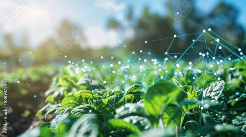 Smart farming concepts integrating AI and machine learning for optimized crop production photo