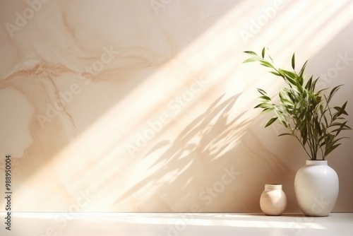 Light background with blurred foliage shadow wall architecture window. photo