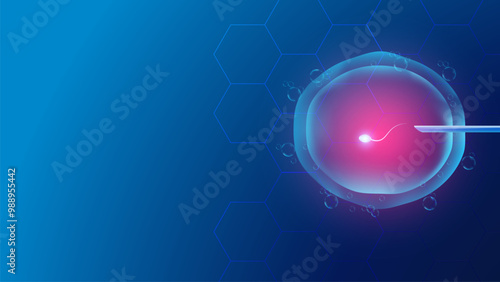 artificial insemination, human, lab, intrauterine, women, insemination, technology, medical, process, science, laboratory, pregnancy, reproduction, injection, sperm, fertilization, spermatozoan, biolo