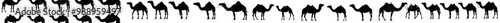 In this image, five camels walk in a line against a white background. They have humps on their backs and long necks.