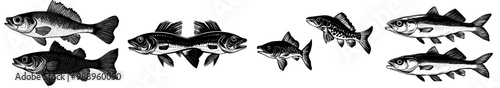 The panfish group on a white background is a group of underwater animals. It is a modern illustration that is easy to edit and layered. Stock photo. photo