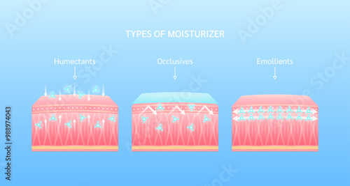 Types of moisturizer. Humectants, Occlusives, Emollients. Helps keep skin youthful. Collagen solution and hyaluronic acid serum. For cosmetic advertising medical beauty. Vector EPS10.