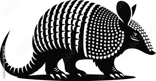 illustration of a squirrel
