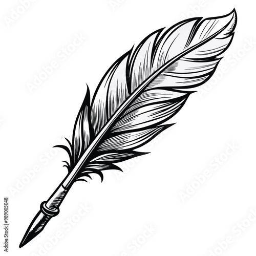 Majestic feather vector silhouette