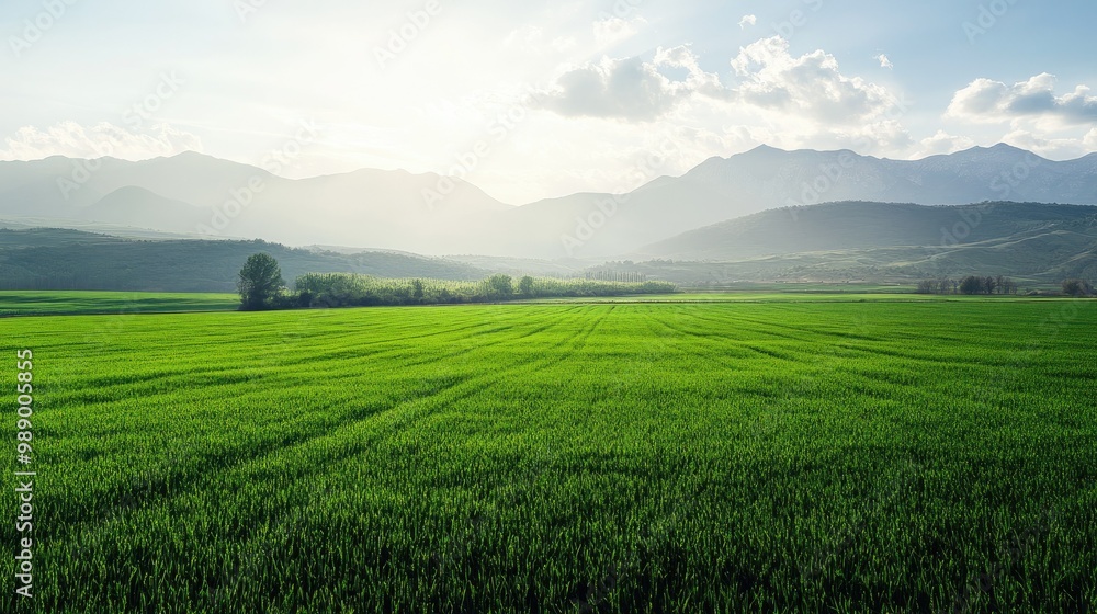 Fototapeta premium Serene, green field bordered by distant mountains, providing ample space for copy