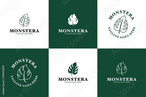 Set of monstera leaves logo design vector template illustration idea