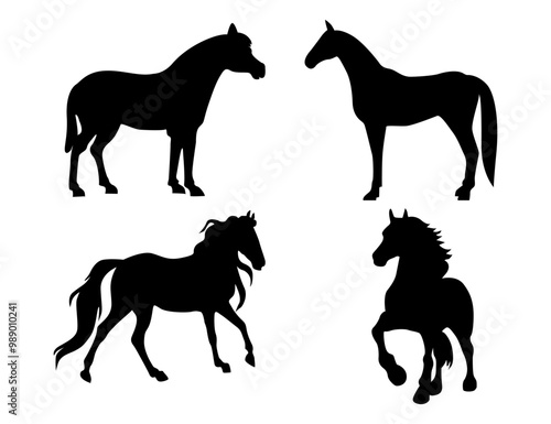 Horse silhouette on white background.