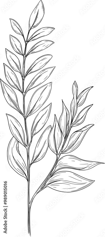 Naklejka premium Hand drawn Floral Designs 