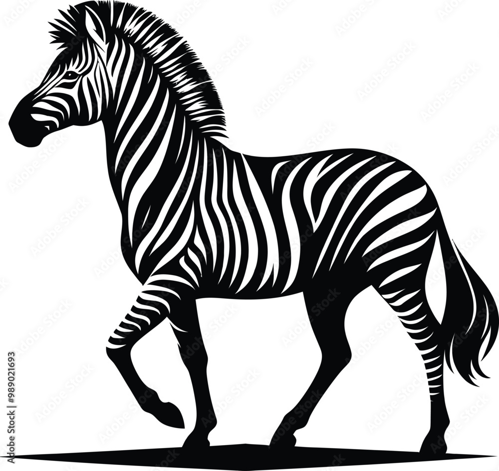 Obraz premium zebra vector illustration