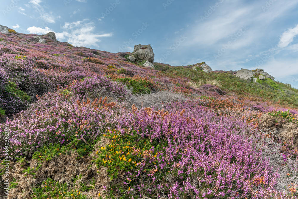Landscape of the coast of the Iroise Sea. Landscape of the coast of the Iroise Sea.