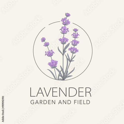 Lavender flower vector logo. Floral design label