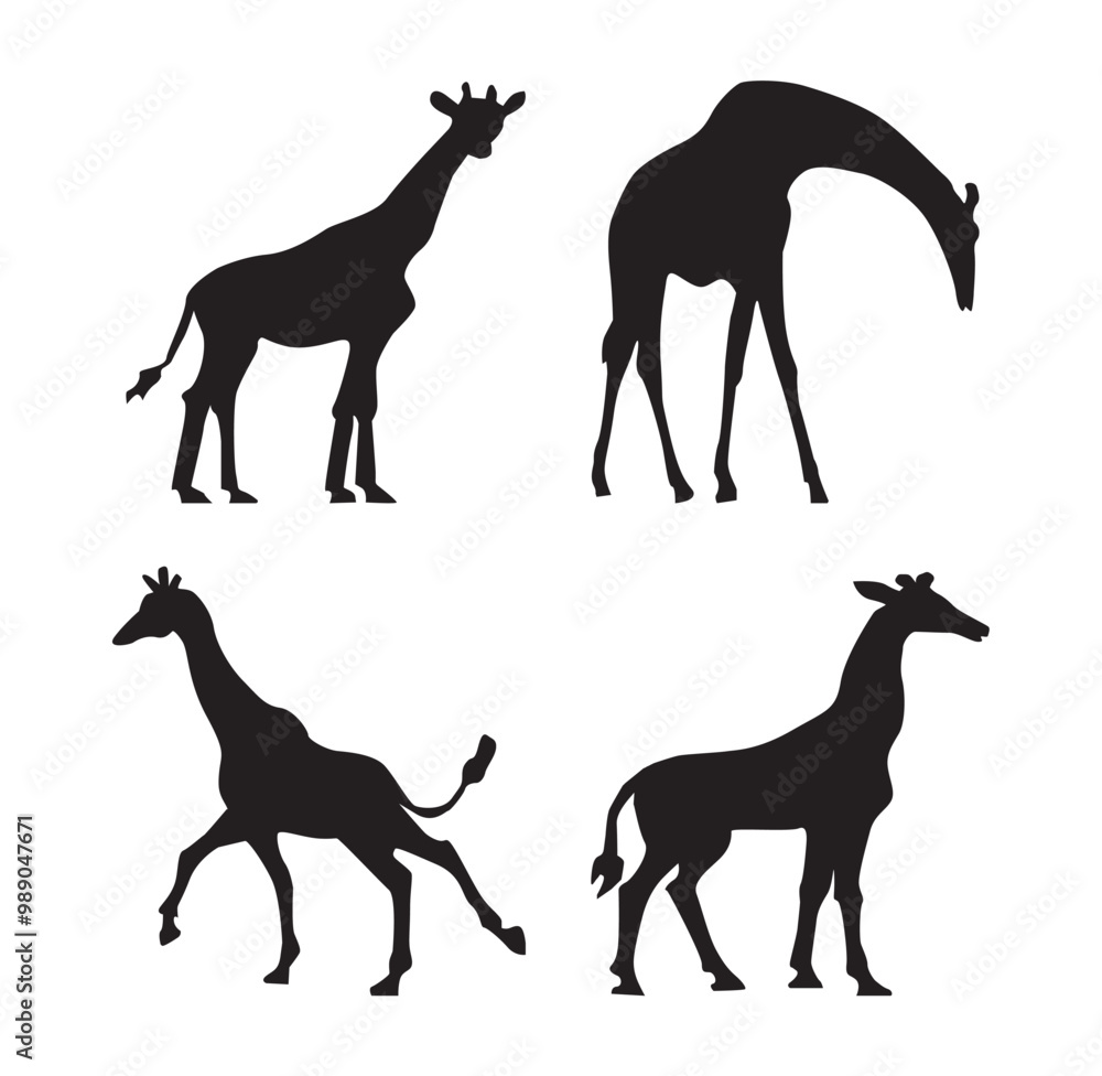 Obraz premium Giraffe Silhouette black color on white background